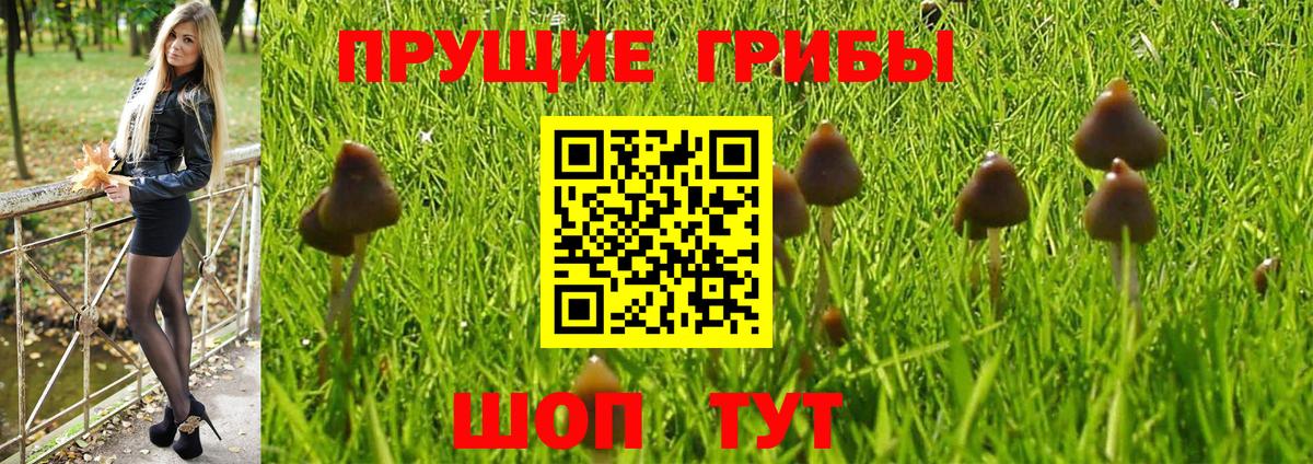 Галлюциногенные грибы мицелий Советский